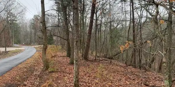 Lot 205 Sharptop Mountain Trl