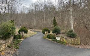 00 Buckhead Hills Subdivision