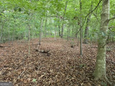 Lot 270 Arrow Lane, Lavonia GA 30553