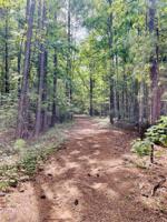 0 Whitewater Trail