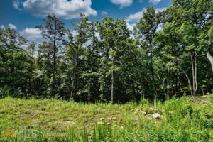LOT177 Old Toccoa Loop