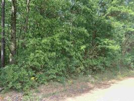 Bent Creek Rd