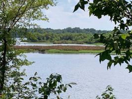 516 Bluewater Bay Dr