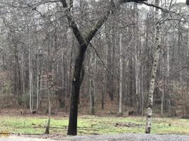 Lot 5 Mariner Cir