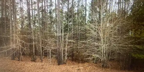 0 Savannah Ridge Road