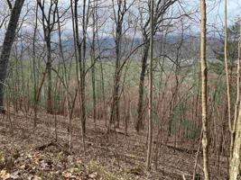 Lot 5 & 6 N Mountain Dr