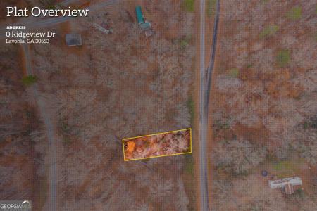 Ridgeview Drive, Lavonia GA 30553