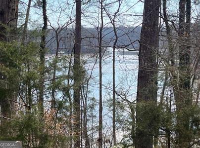 Lot 22,23 Rue Maurice, Lavonia GA 30553