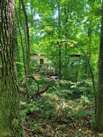 54 Starling Court