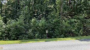 Lot 157 N Laceola