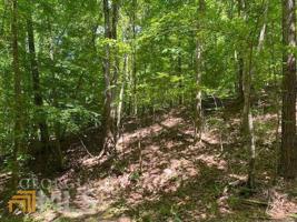 0 Pasha Drive .65 Ac