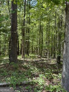 LOT 143-4 Steelbridge Trail