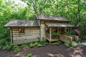 127 Lone Wolf Trail