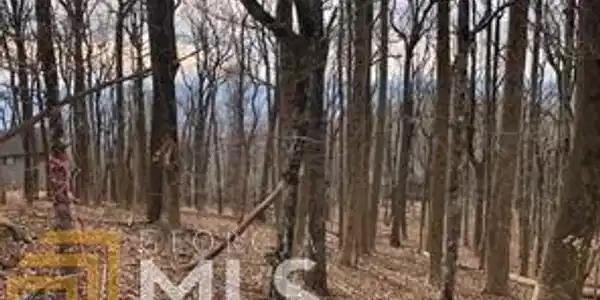 Lot 1908 Big Stump Mountain Trl