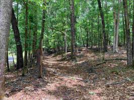 Lot 3555,3556,3557 3555 Tamarack Dr