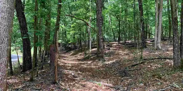 Lot 3555,3556,3557 3555 Tamarack Dr