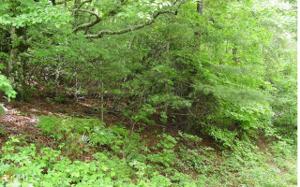 Lot 267 Arrowhead Estates