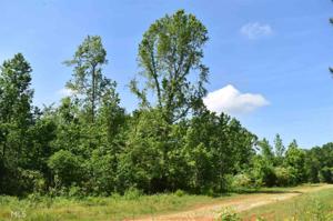 Lot 41 County Rd 264