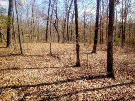 0 Beech Tree Drive