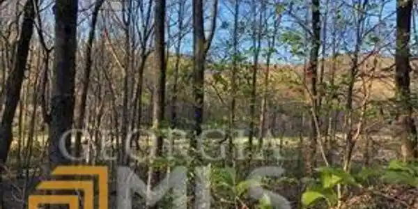 00 Crippled Oak Trail
