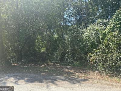 Lot 339 Cherokee Lane, Lavonia GA 30553