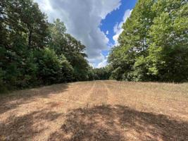 LOT 16 Jersey Covington Road