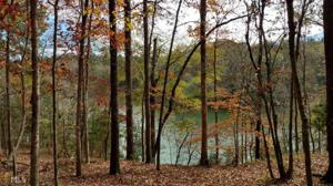 Lot 63 Hornets Bridge Dr