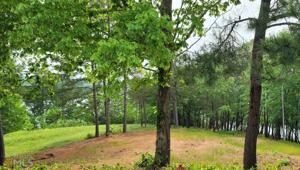 978 N Edgewater Trail