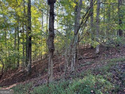 Lot 23 Tahlequah Ridge, Hayesville NC 28904