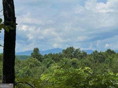 19.25 AC Old Hwy 76, Morganton GA 30560