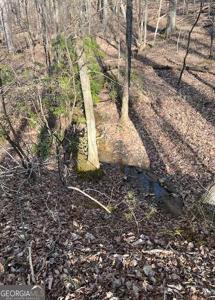 00 Oglethorpe Mountain Road