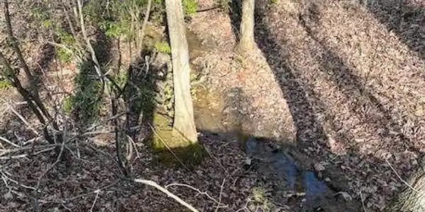 00 Oglethorpe Mountain Road