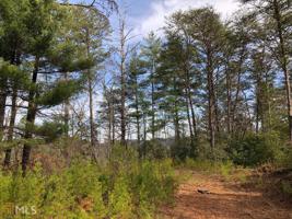 17 Yonah Lake