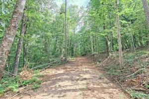 Lot 53+Acres Holly Springs Rd