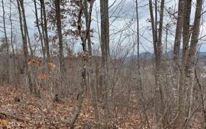 0 Ramey Mountain