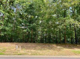 321 William Falls Drive