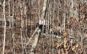 LOT 14 Shallow Creek