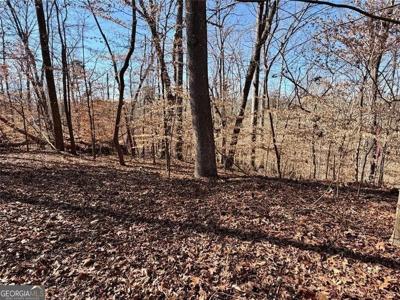 Lot C26E3 Arrowhead Court # 227, Lavonia GA 30553