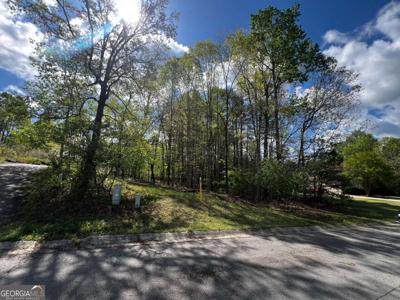 1036 Overlook Drive, Villa Rica GA 30180