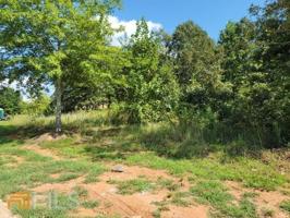 1633 Currahee Club Drive