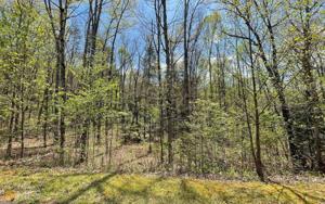 LOT 6 Sweetwater Cove