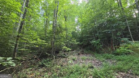 Lot 14 Kilpatrick Point Terrace, Hayesville NC 28904