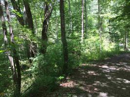 Spaniard Mountain Rd