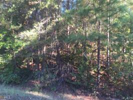 Knottywood Dr