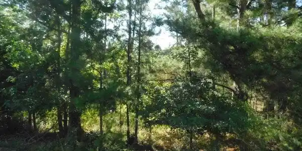 3587 Chamberlain Ferry Road