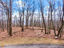 221 Stone Cliff Trace