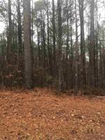 0 Running Creek 3