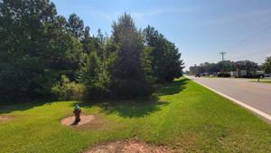 877 Harmony Road