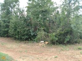 LOT 40 Omaha Drive