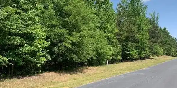 0 South Pointe Drive (Lot 7 Pointe South)